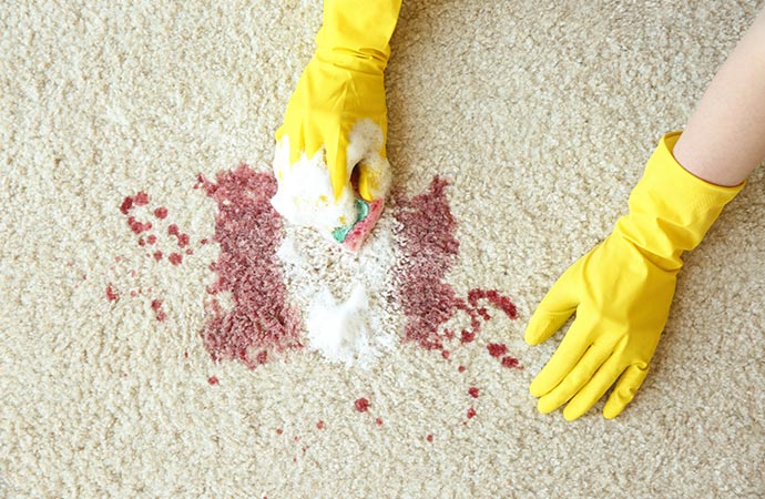 hands in rubber gloves carpet stain removal with sponge and detergent