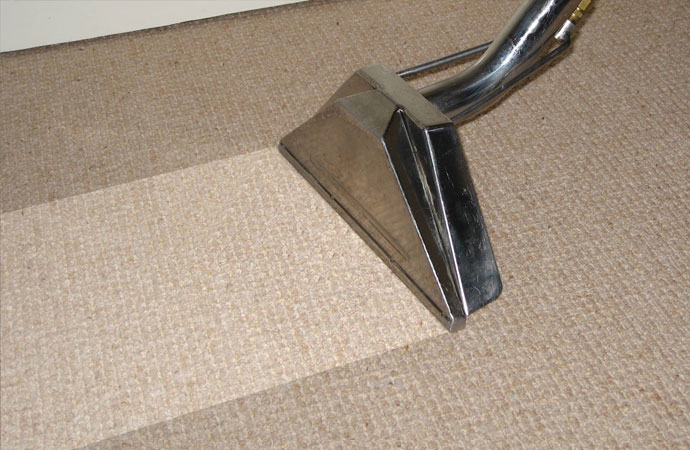 Carpet Cleaning for Sticklers