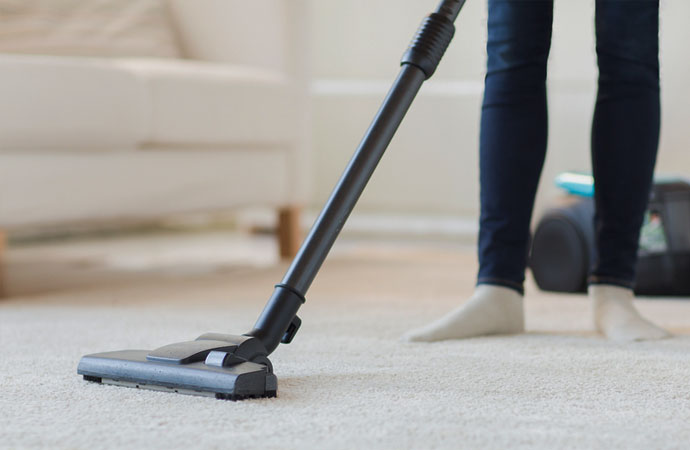 Cleaning Carpets the Pet-Friendly Way