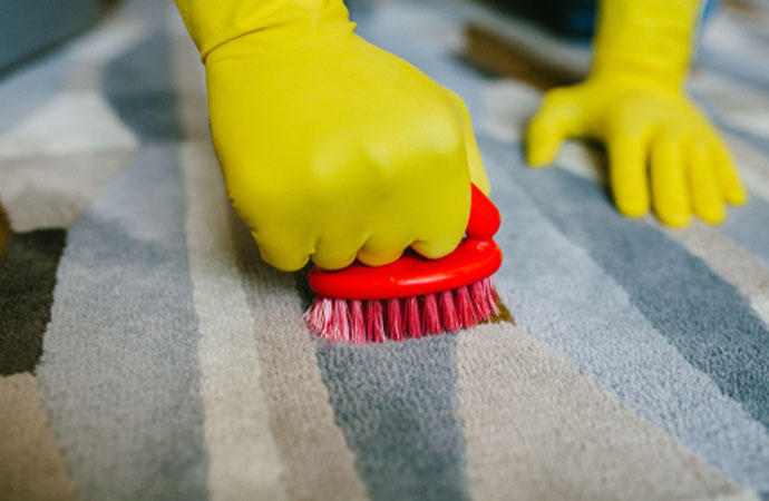 Deep Cleaning Your Carpets