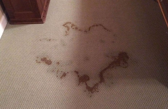 Most Common Stains on Carpet