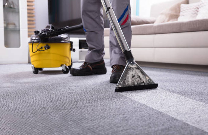 Professional Carpet Cleaning Services