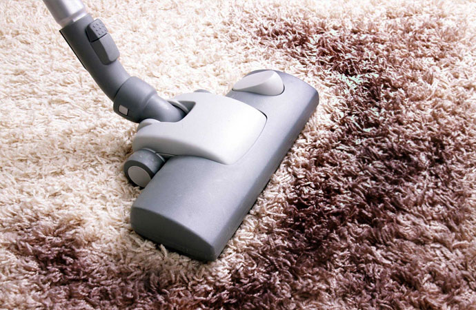 Professional Carpet Cleaning