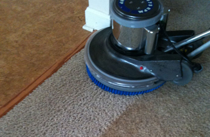 Wet vs. Dry Carpet Cleaning