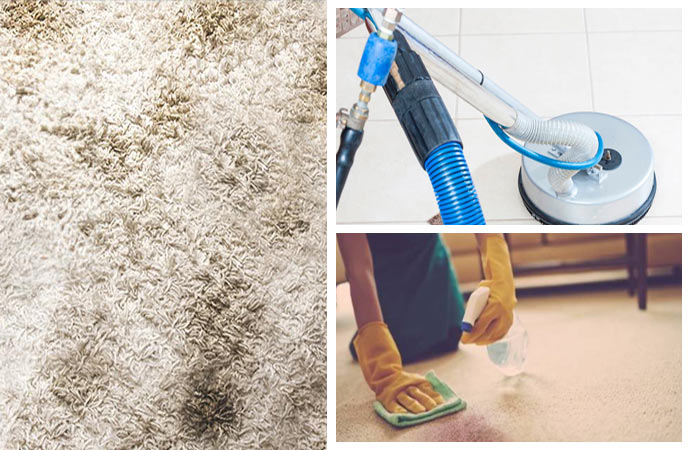 Professional cleaning service removing stains from carpet, tiles, and grout.