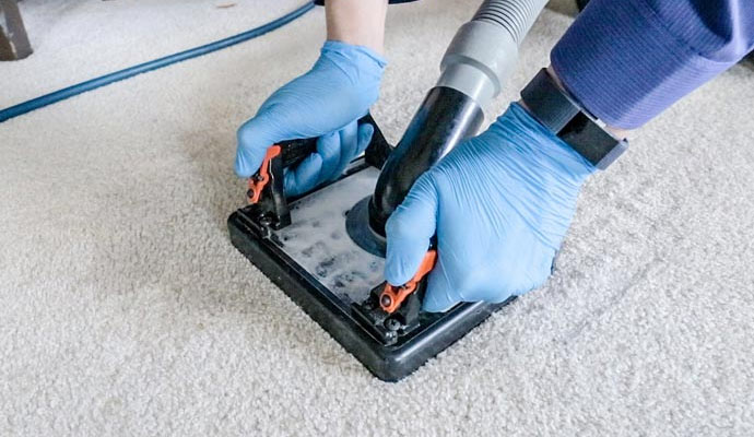 cleaning carpet with equipment