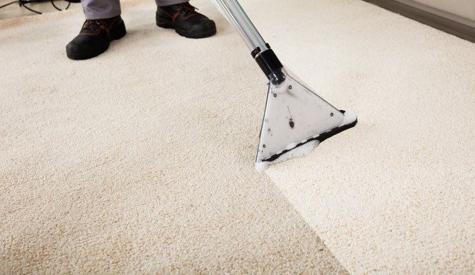 professionally cleaning dirty carpet