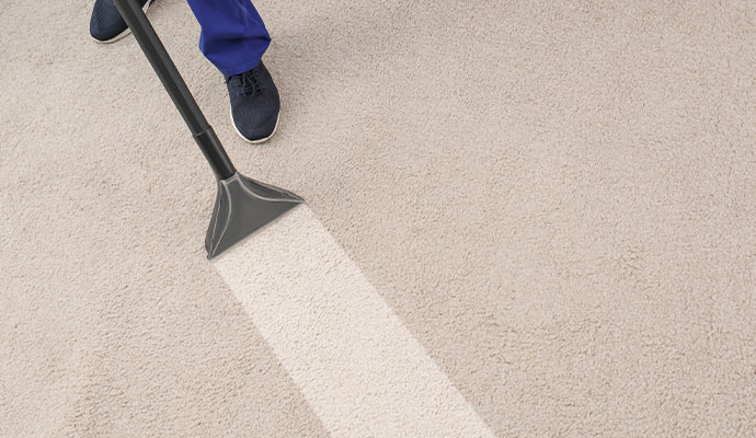 Carpet dry cleaning