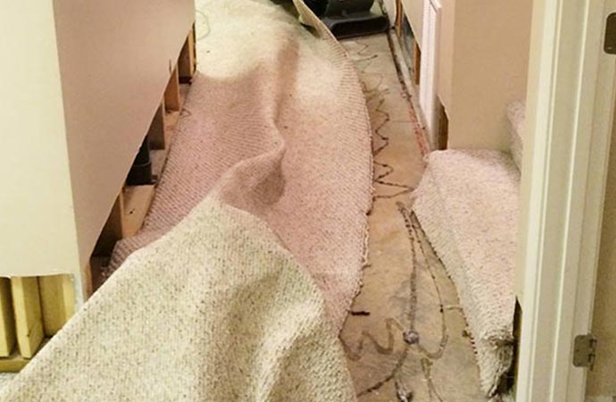 carpet water damage clean up service
