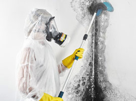 Mold Remediation