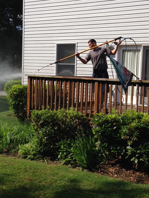 Pressure Washing