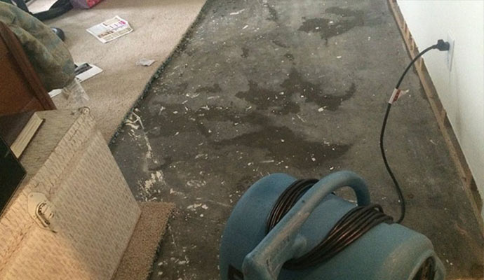 Professional Water Damage Restoration Services for Hotels in Baltimore & Columbia Area