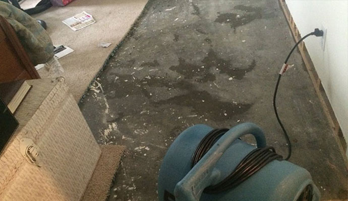 Water Damage Restoration Wongawallan