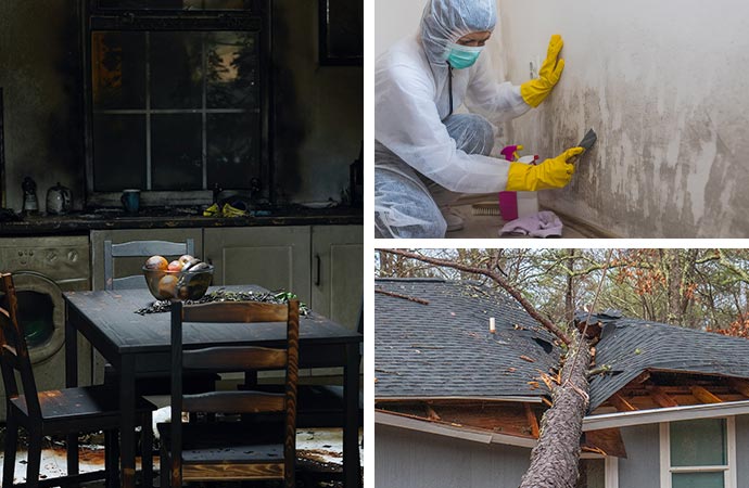 Fire, smoke and mold damage restoration scenes