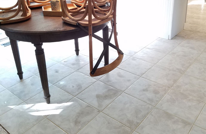 Professional Grout Cleaning