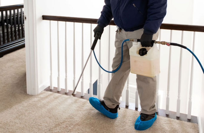 Professional Carpet Steam Cleaning