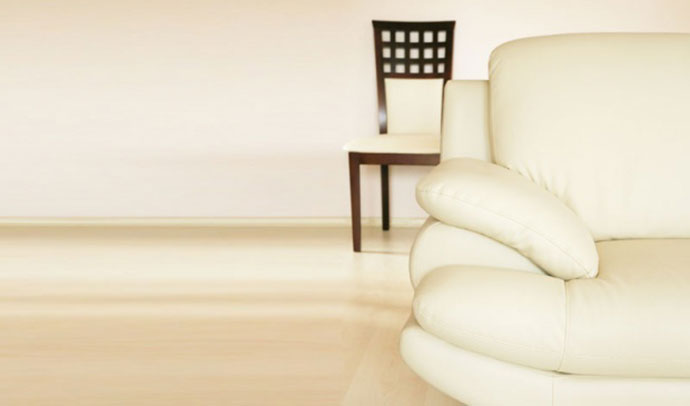 Expert Furniture Cleaning Services in Glenwood, Maryland.