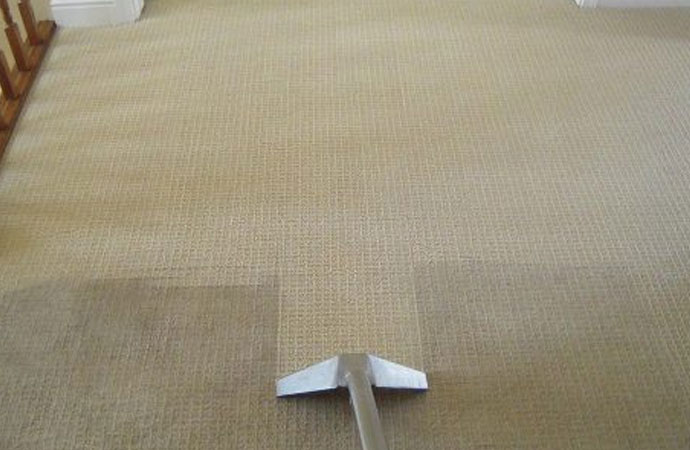 Our Carpet Cleaning Services