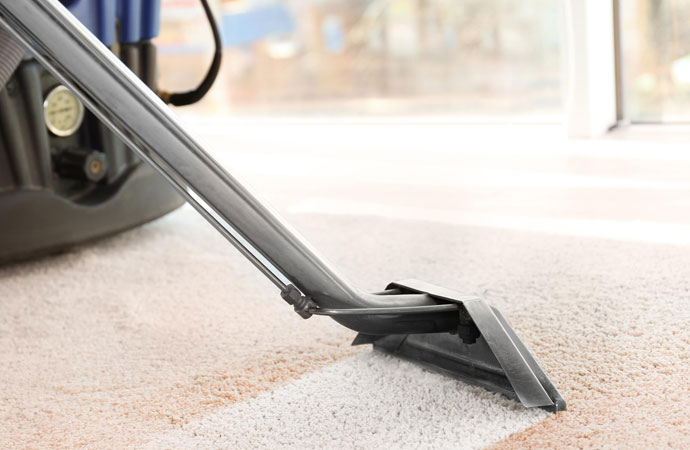 Why Do You Need Carpet Cleaning Services?