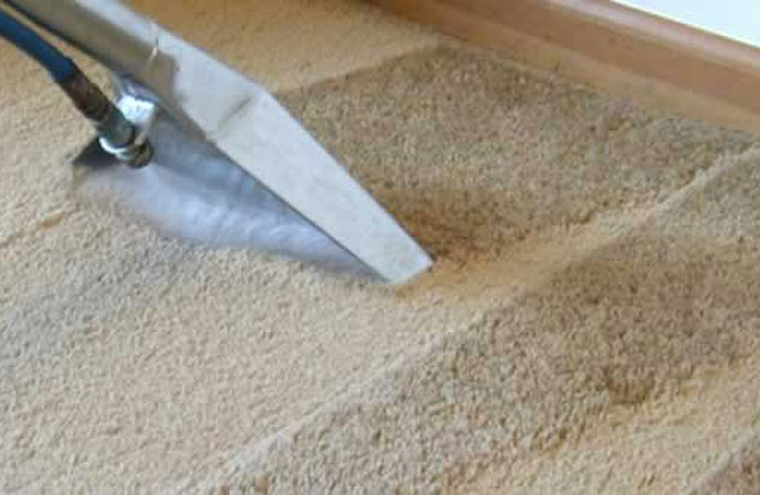 Why We Need Carpet Cleaning Services?