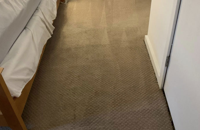 Why Do You Need Carpet Cleaning?