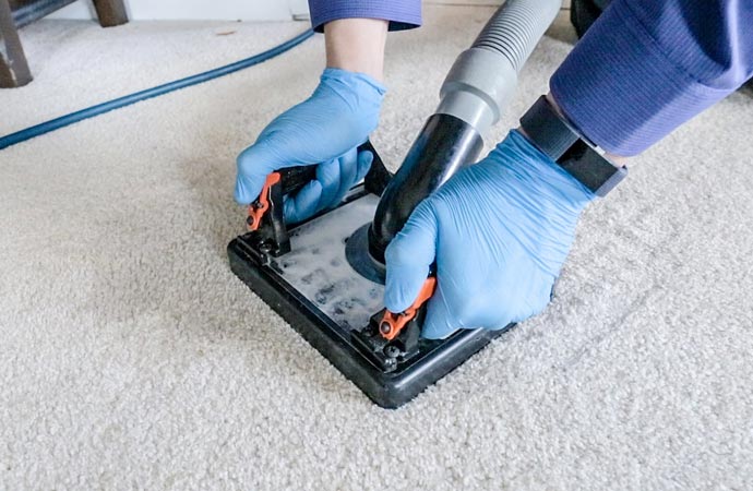 pre-holiday carpet cleaning