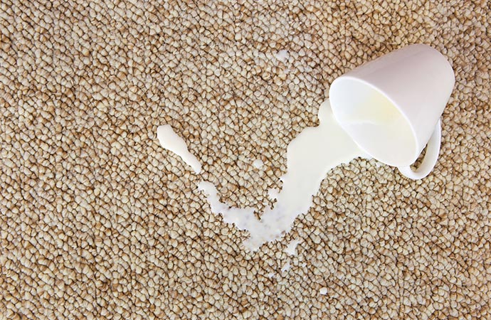 a milk stain on a carpet.