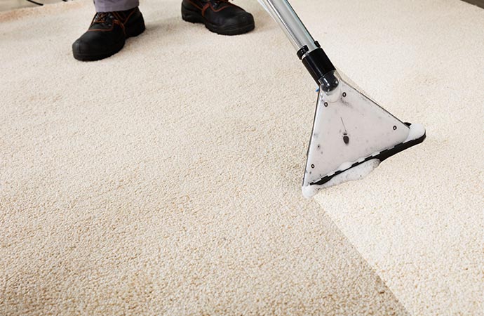 cleaning pet stain from carpet professionally