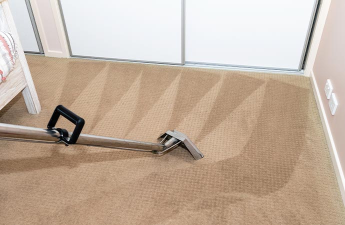 Professionally cleaned carpet by experts.