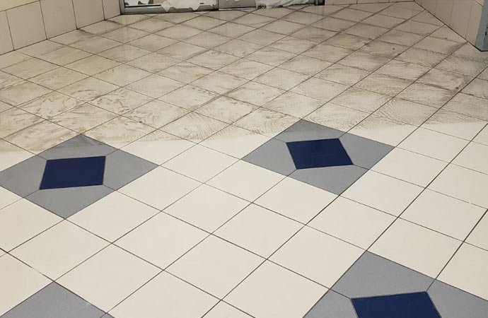 Expert cleaning service restoring tiles and grout to pristine condition.