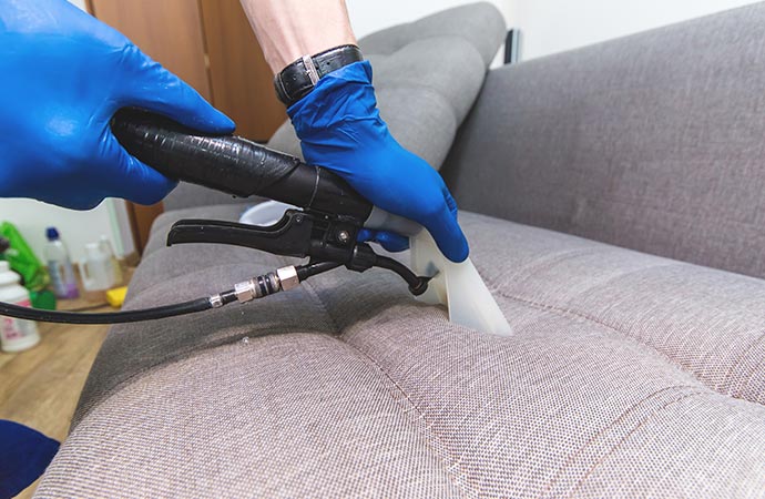 A technician carefully cleans a sofa to perfection.