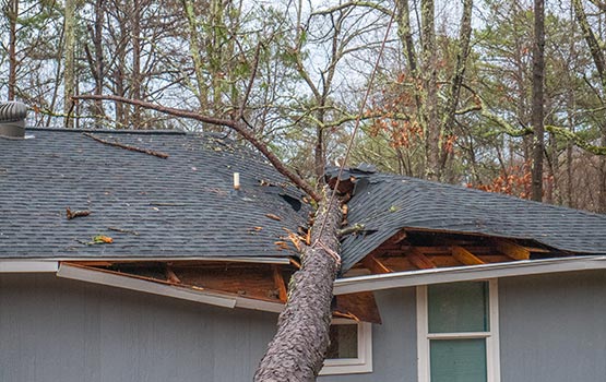 Storm Damage Restoration