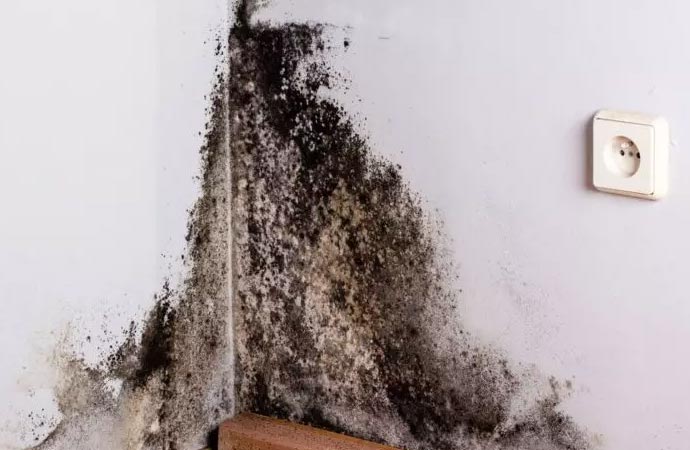 Water Damage Restoration