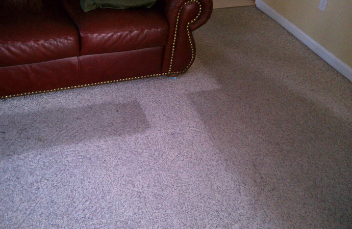 Cleaning a wet carpet with care.
